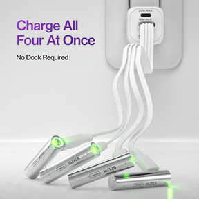 Rechargeable AAA Batteries |  4 Pack | USB-C Rechargeable